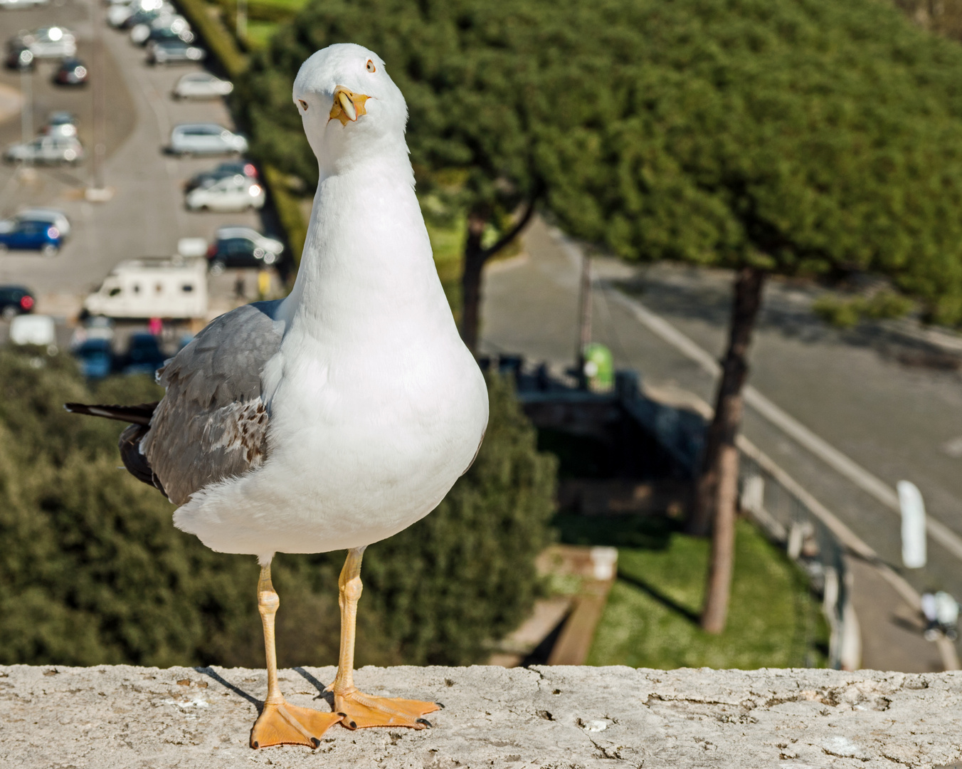 Was guckst du?