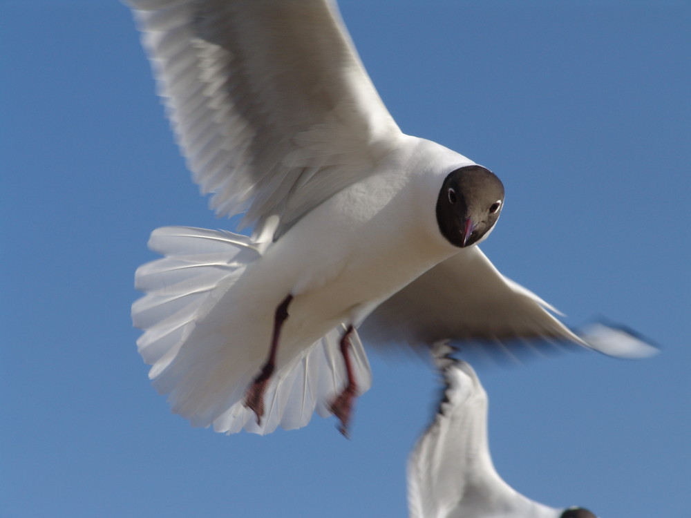 Was guckst Du?!