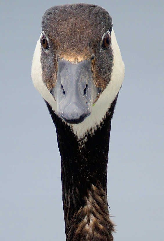 Was guckst Du ?