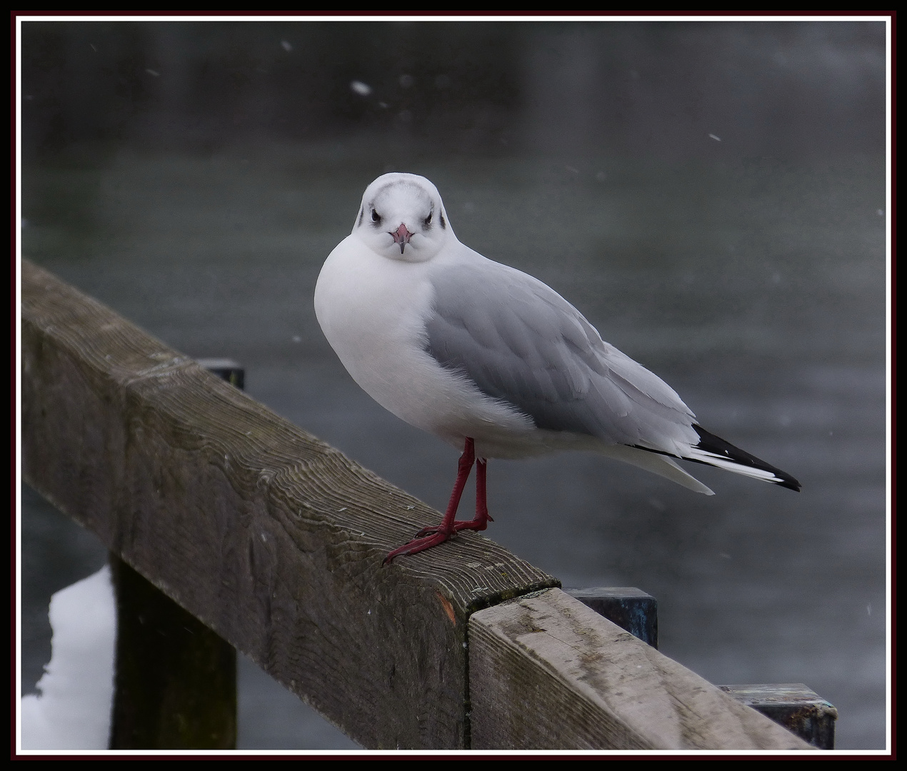 Was guckst du?