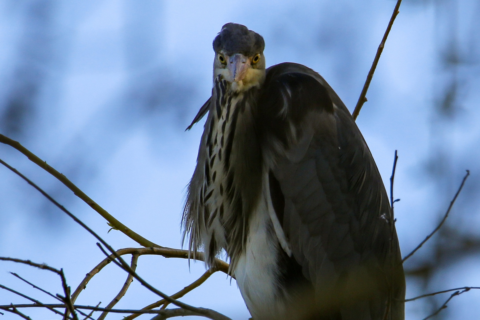 Was guckst du?