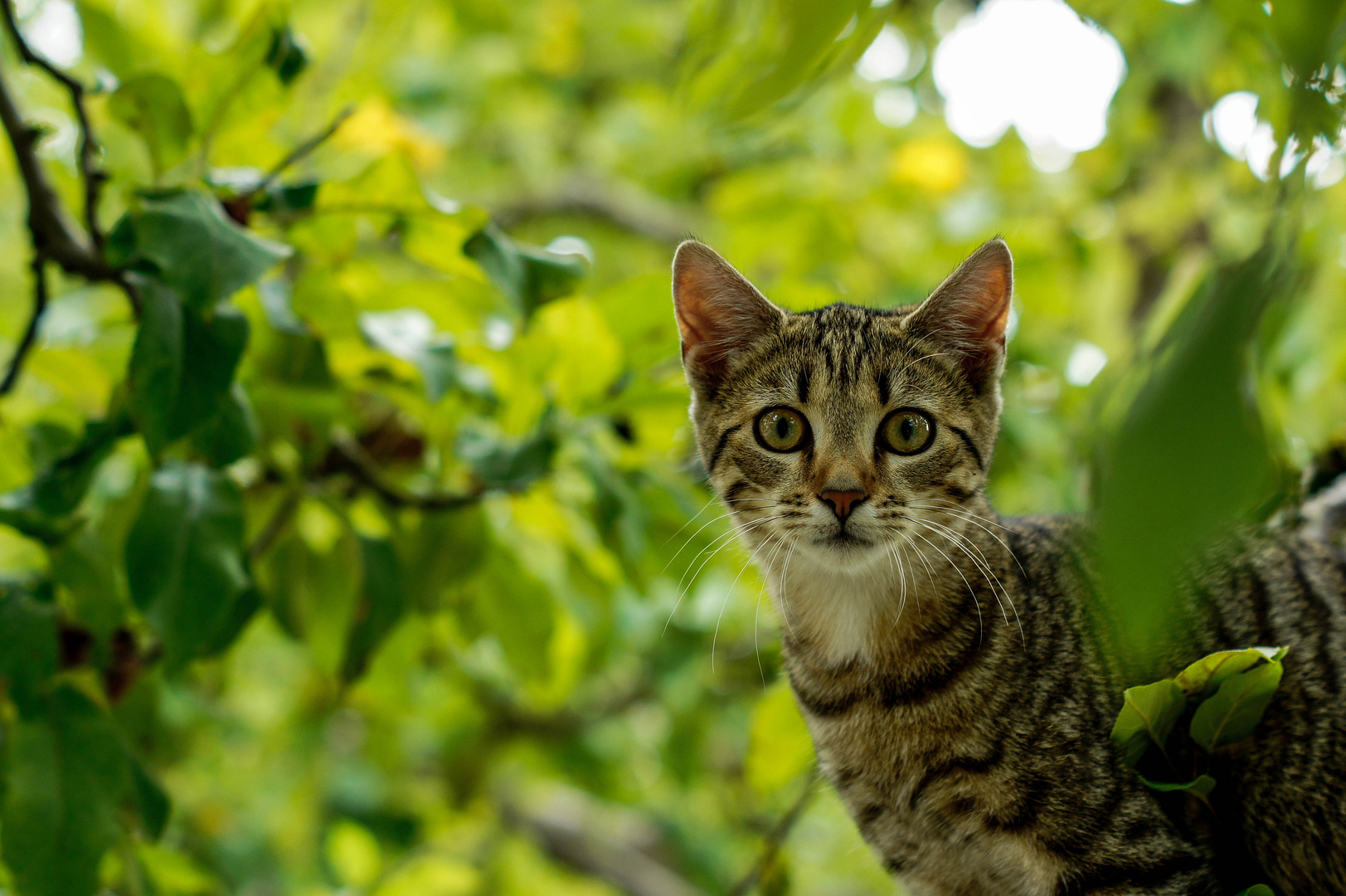 Was guckst du ?