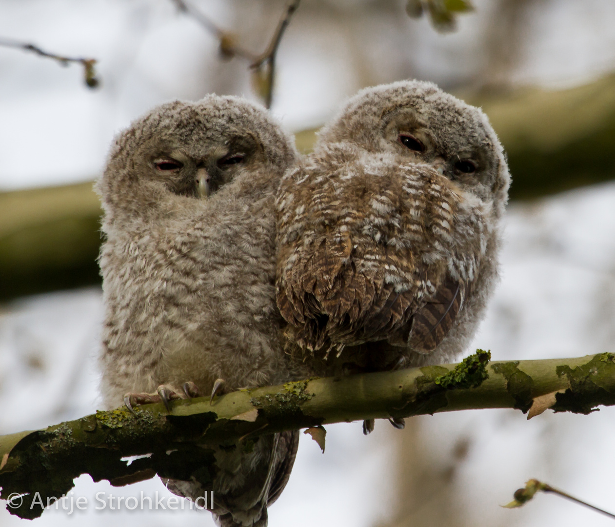 Was guckst Du?