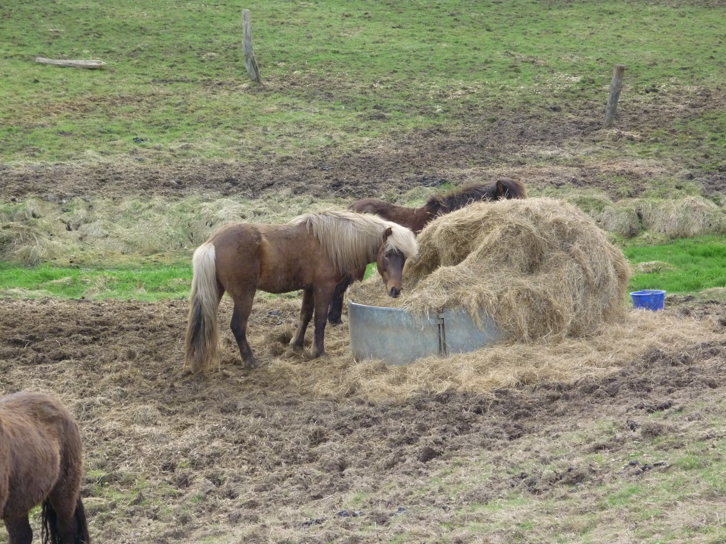 ...was guckst Du?