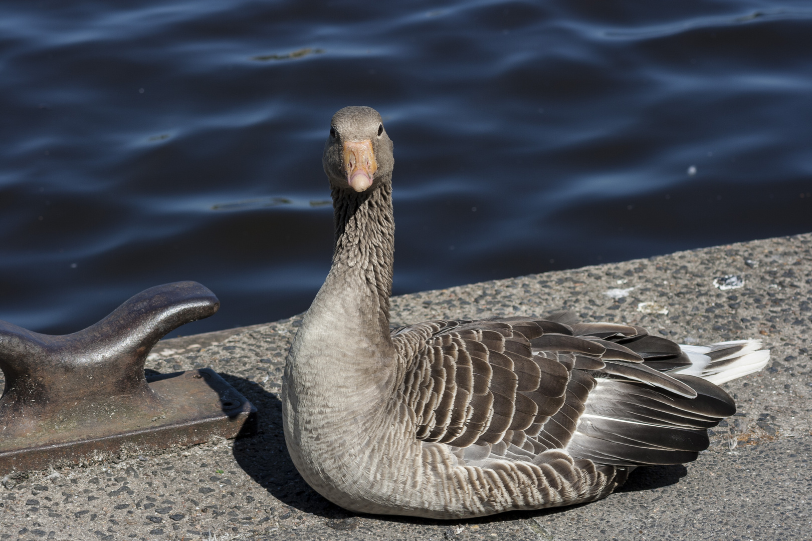 Was guckst du?