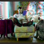 Was guckst du [3D Anaglyphe]