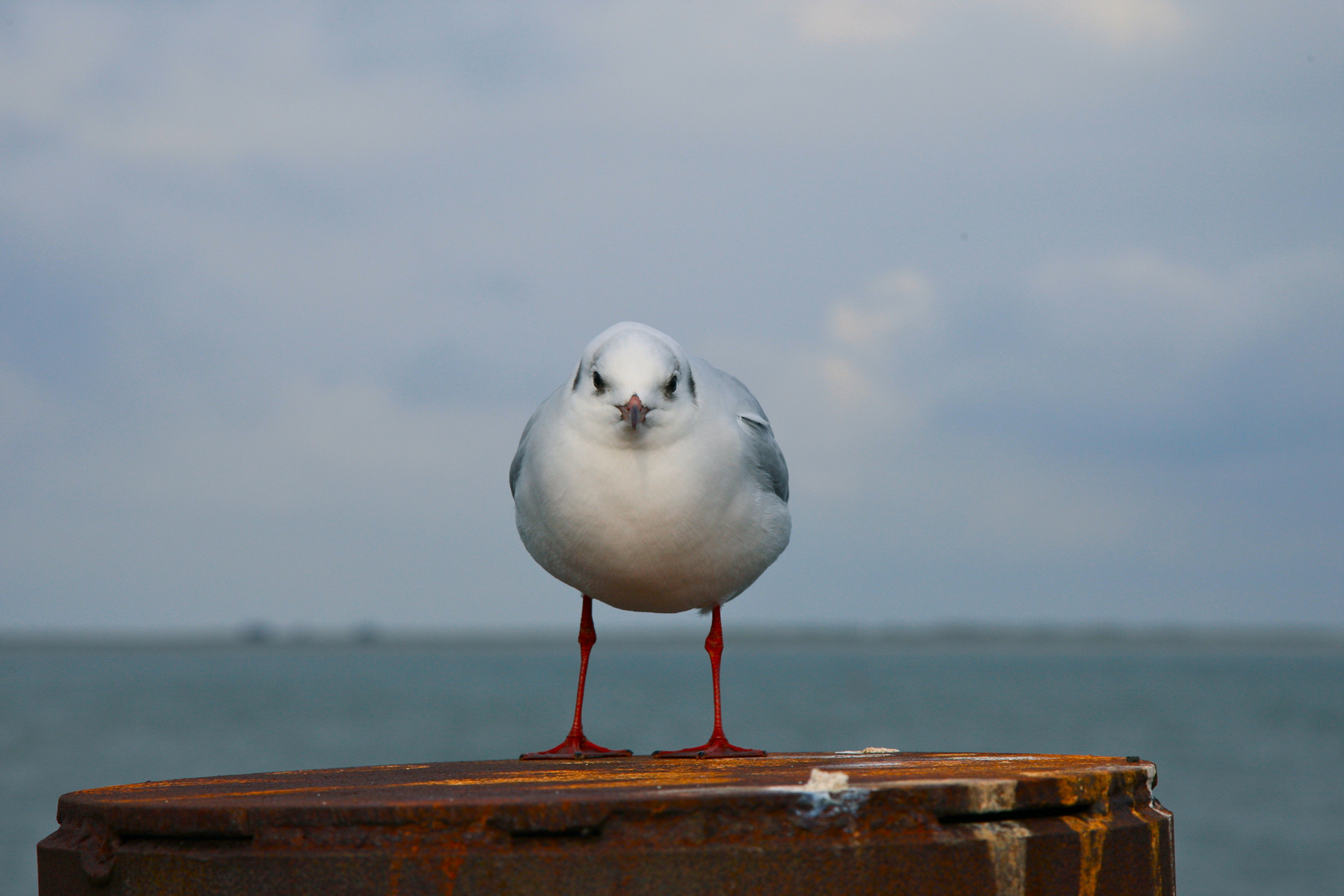 Was Guckst DU?