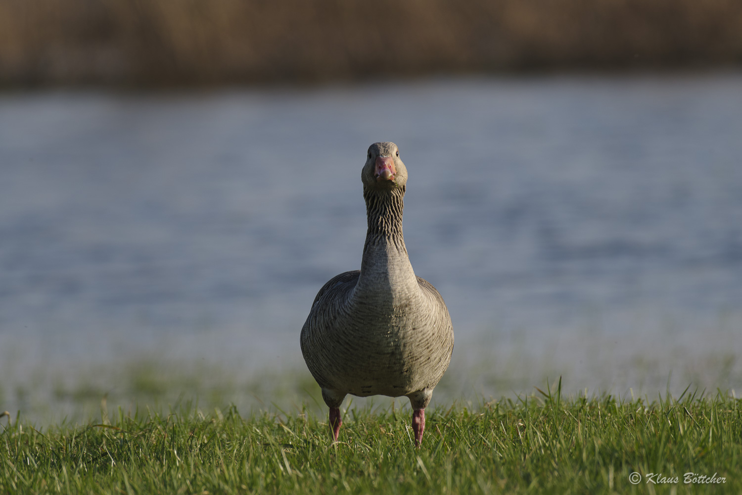 Was guckst Du???