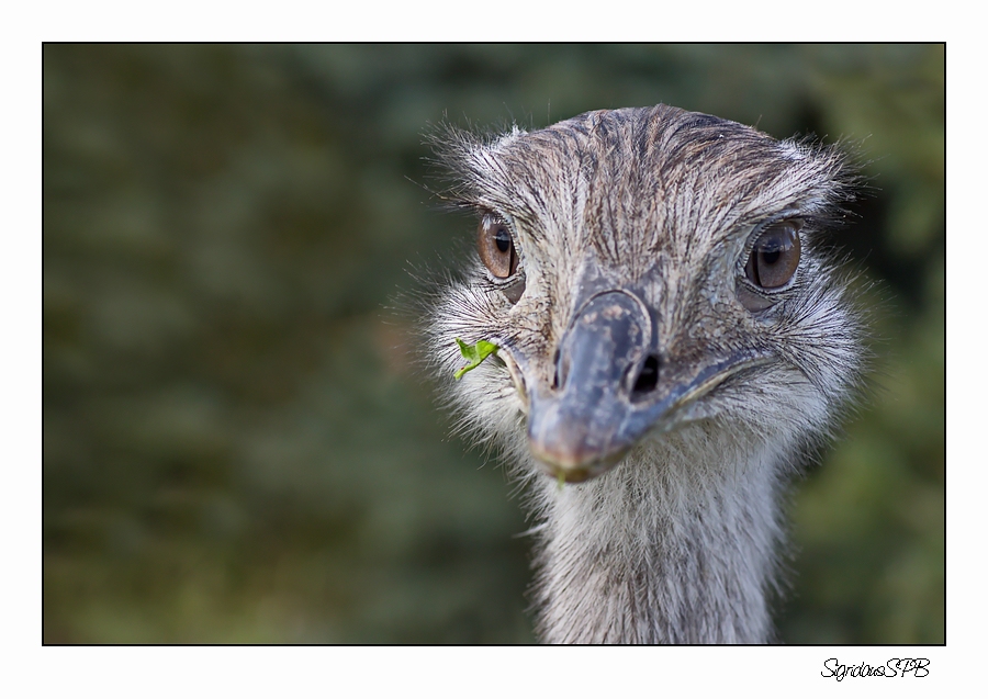 Was guckst du?