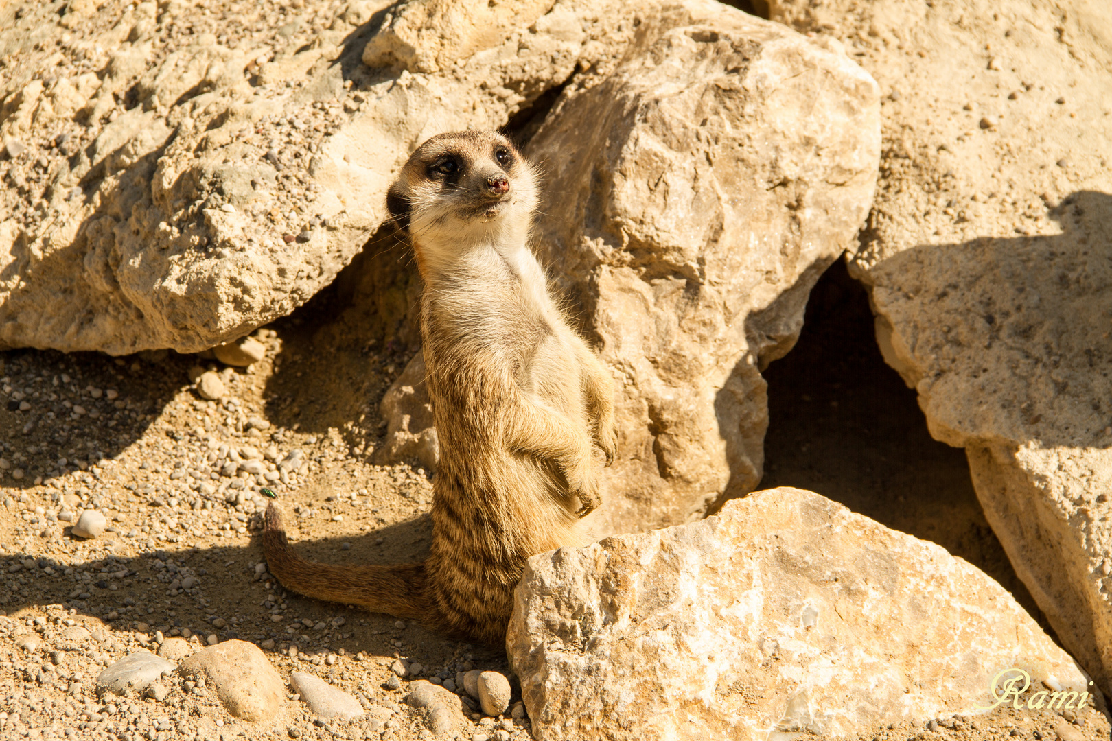 Was guckst du?