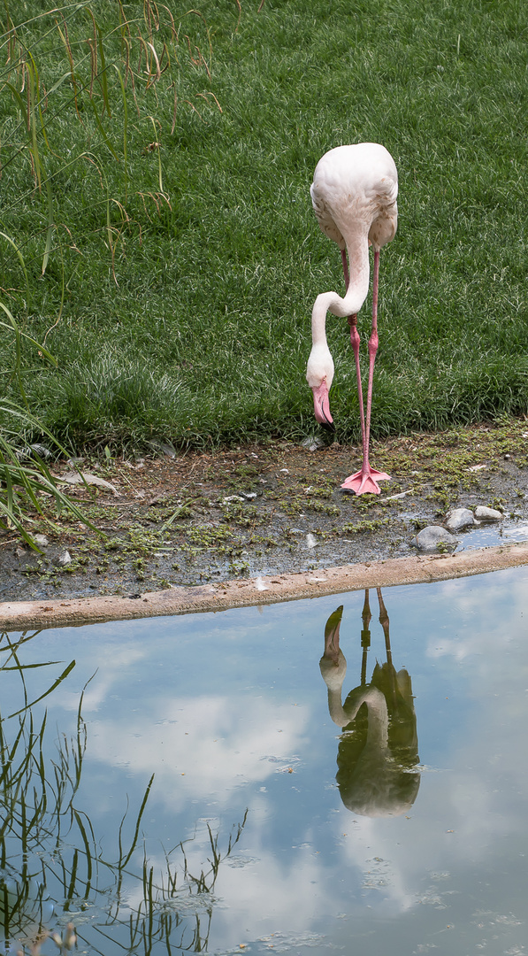 WAS GUCKST DU?