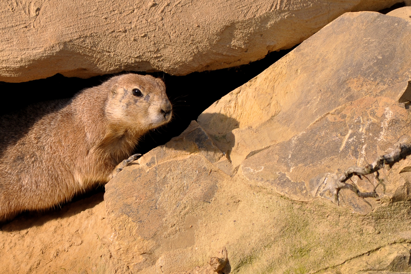 was guckst du?