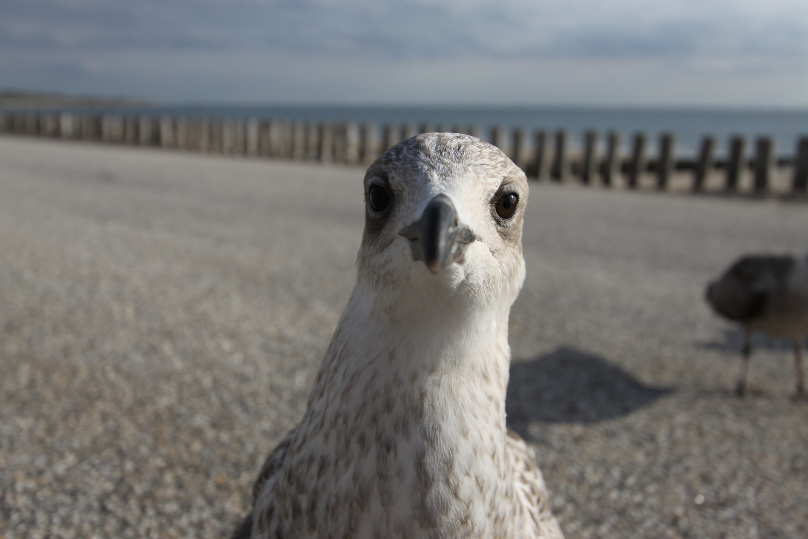 Was guckst Du?