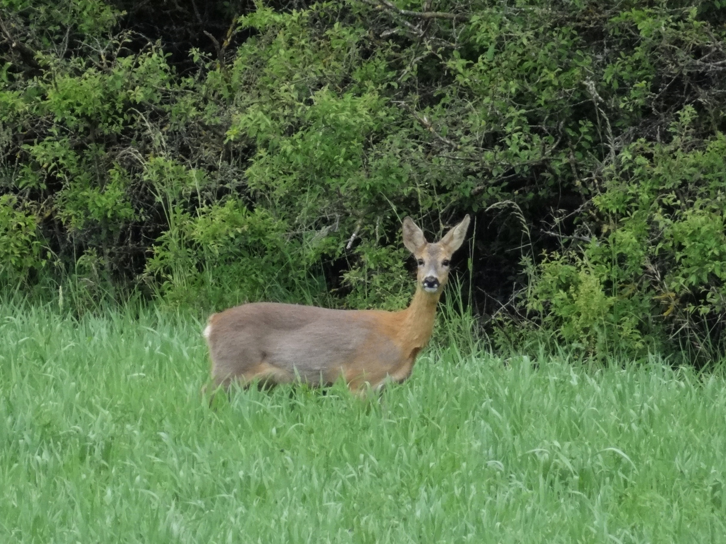 Was guckst du..............