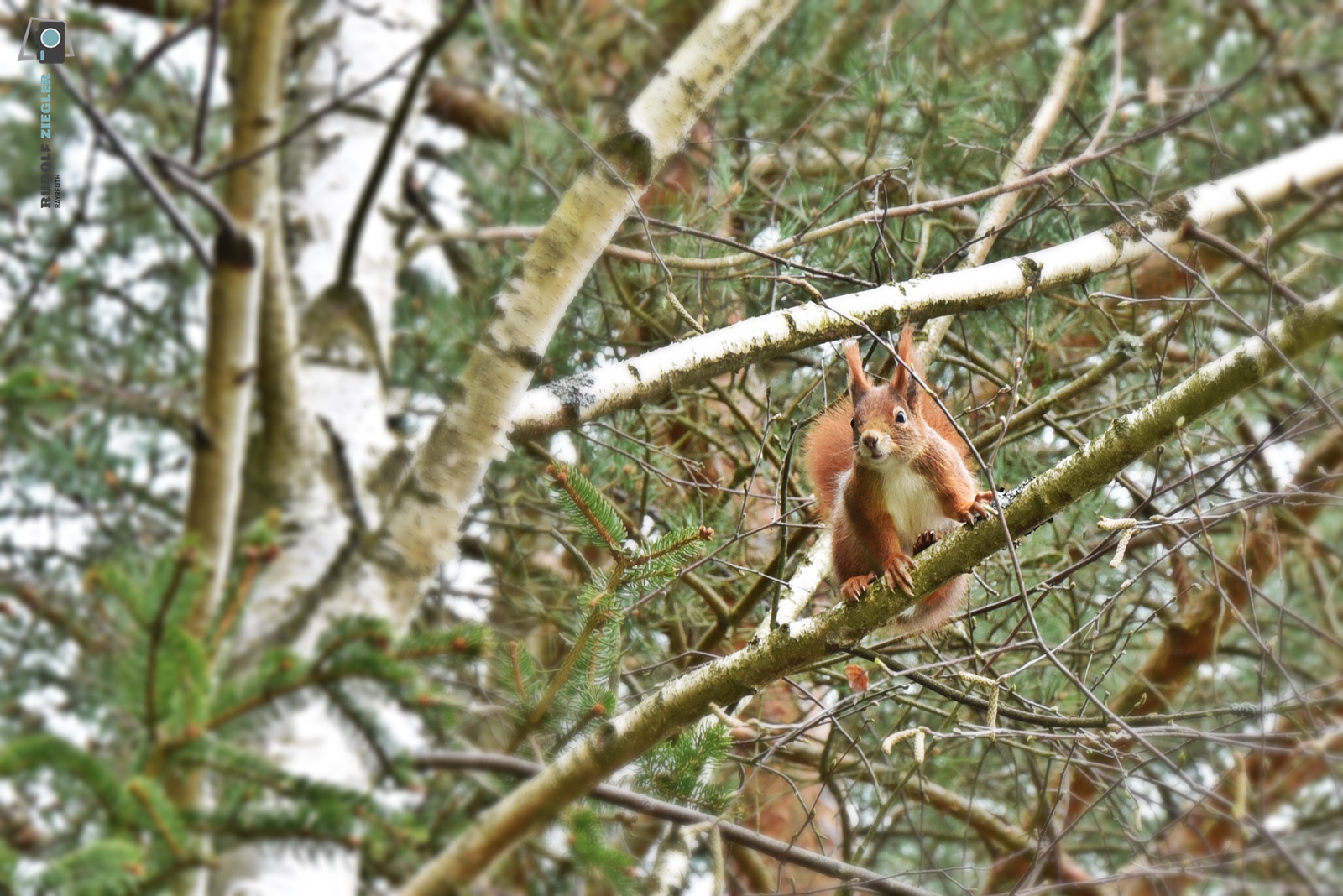 "Was guckst Du!?"