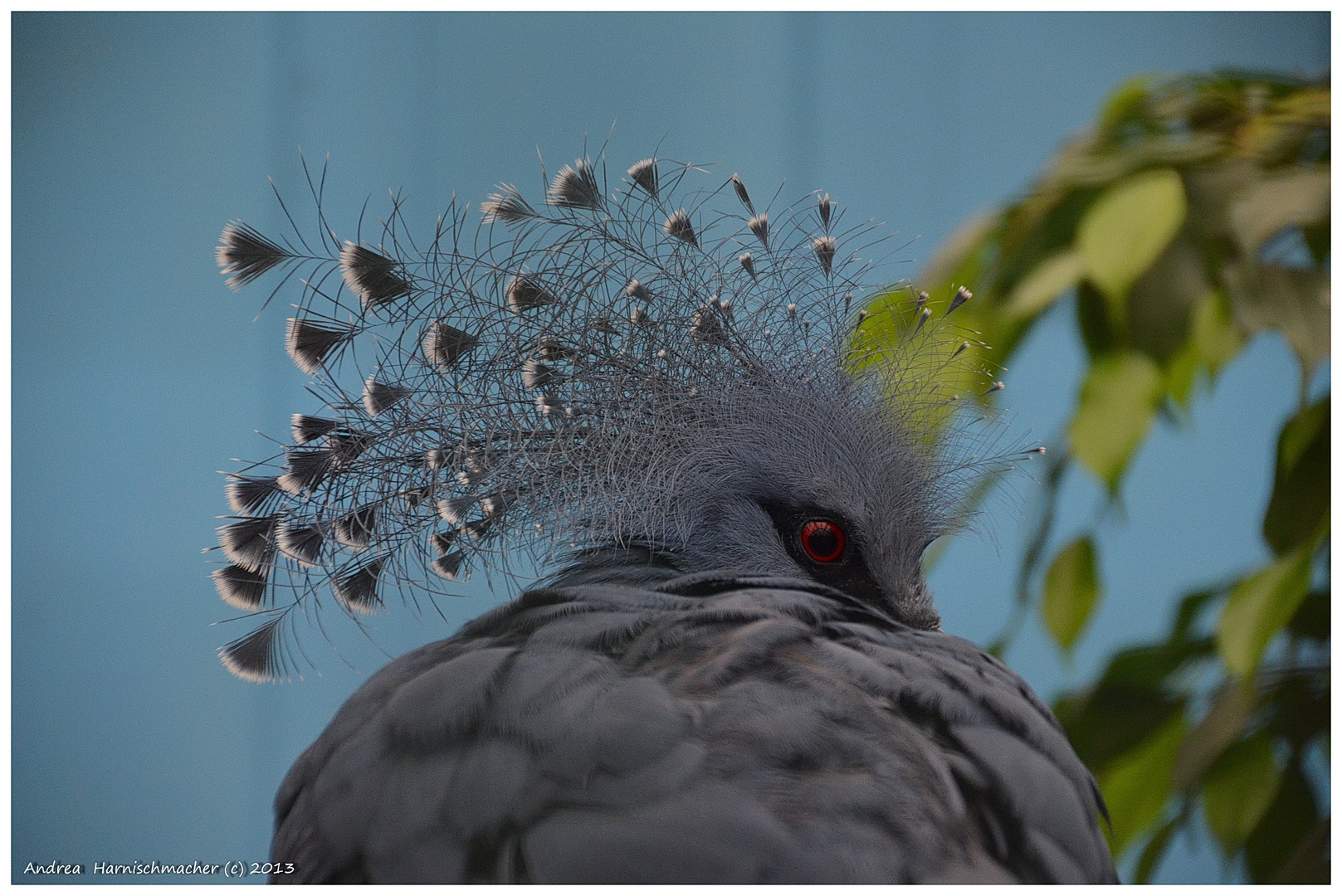 Was guckst Du?