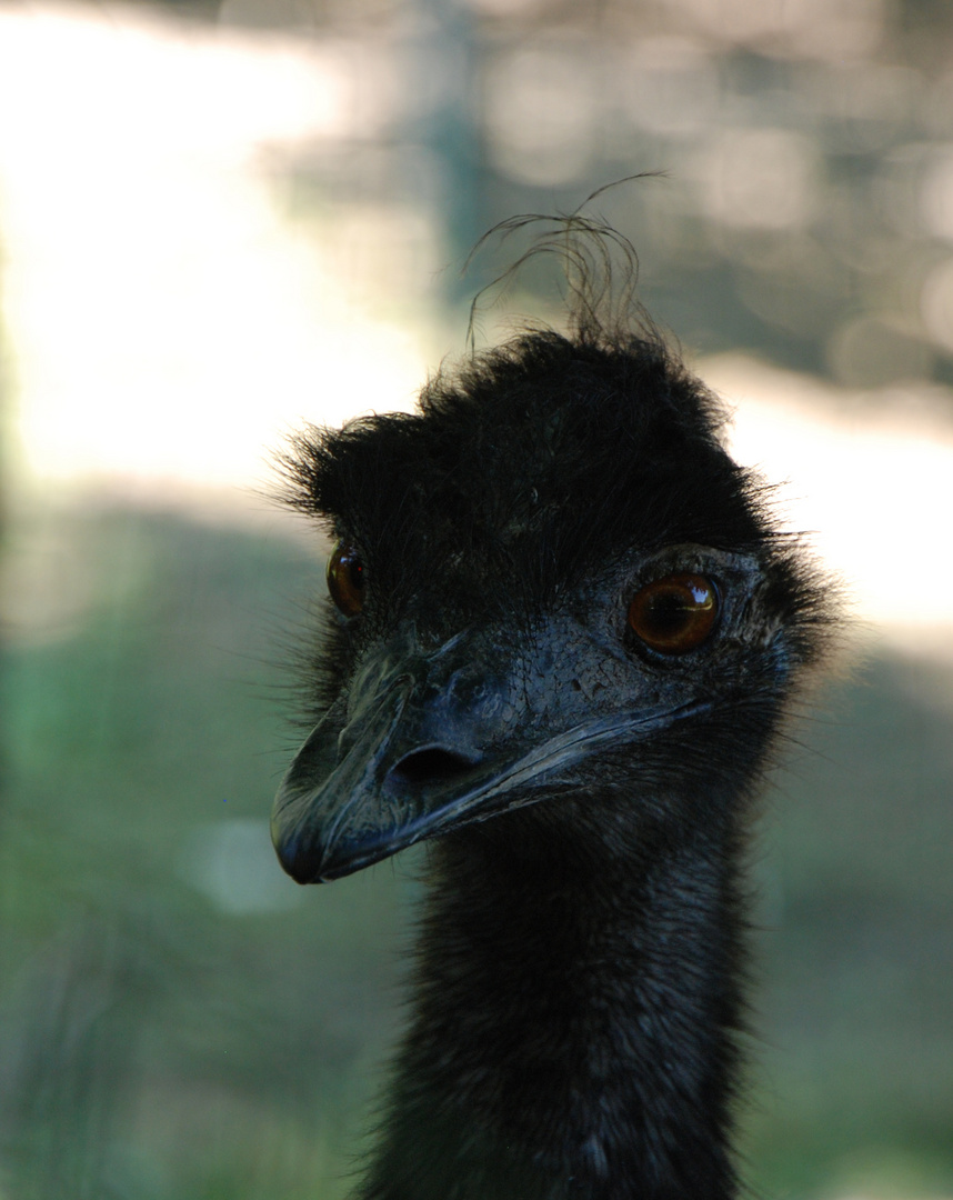 Was guckst du?