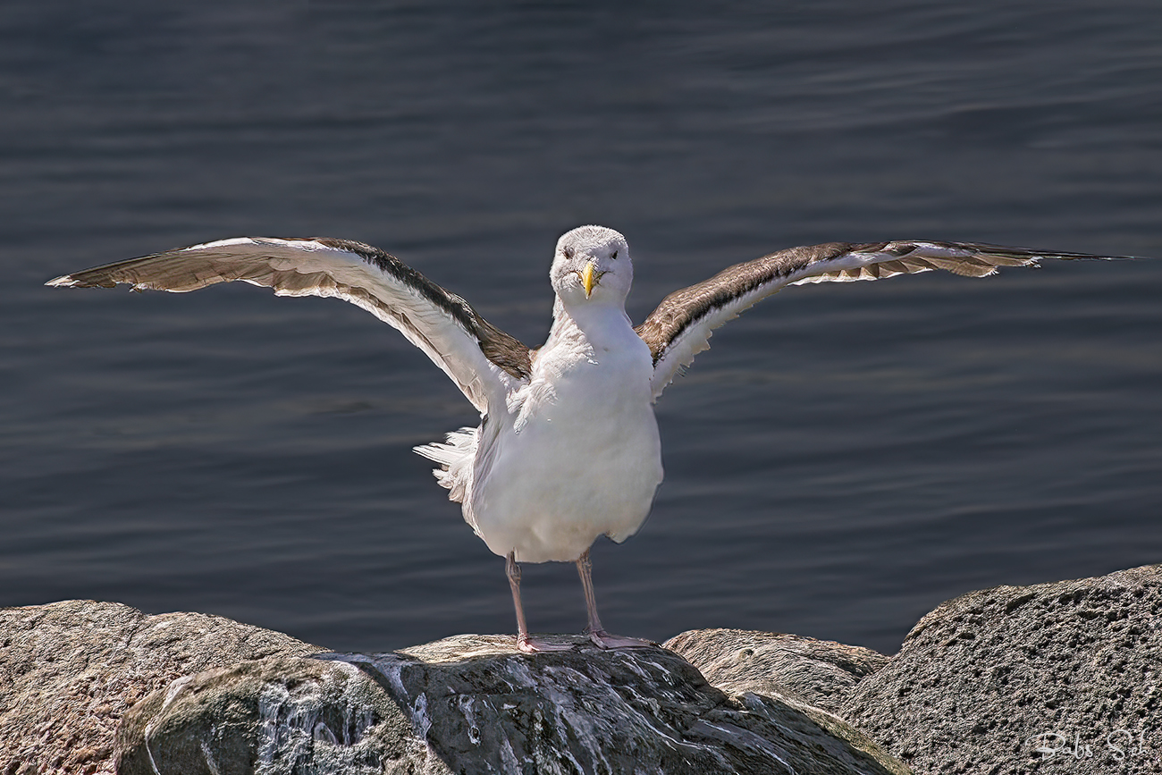 Was guckst Du?