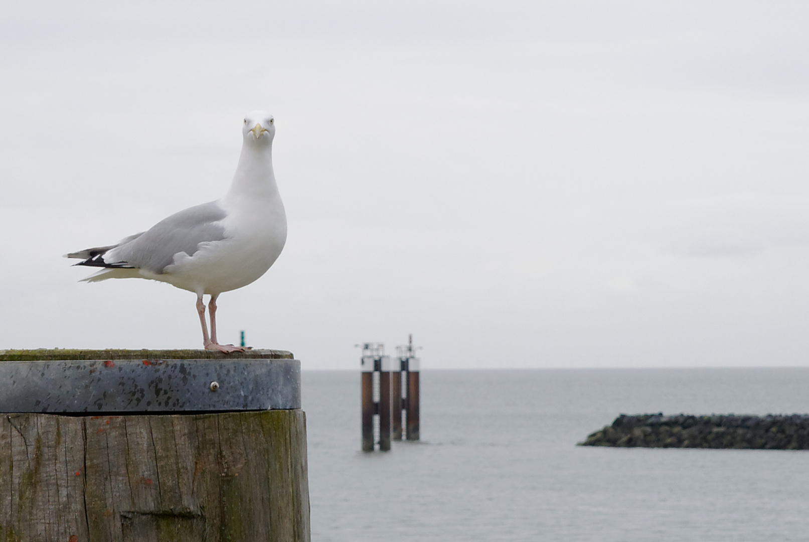 Was guckst du?