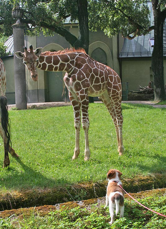 Was guckst du?