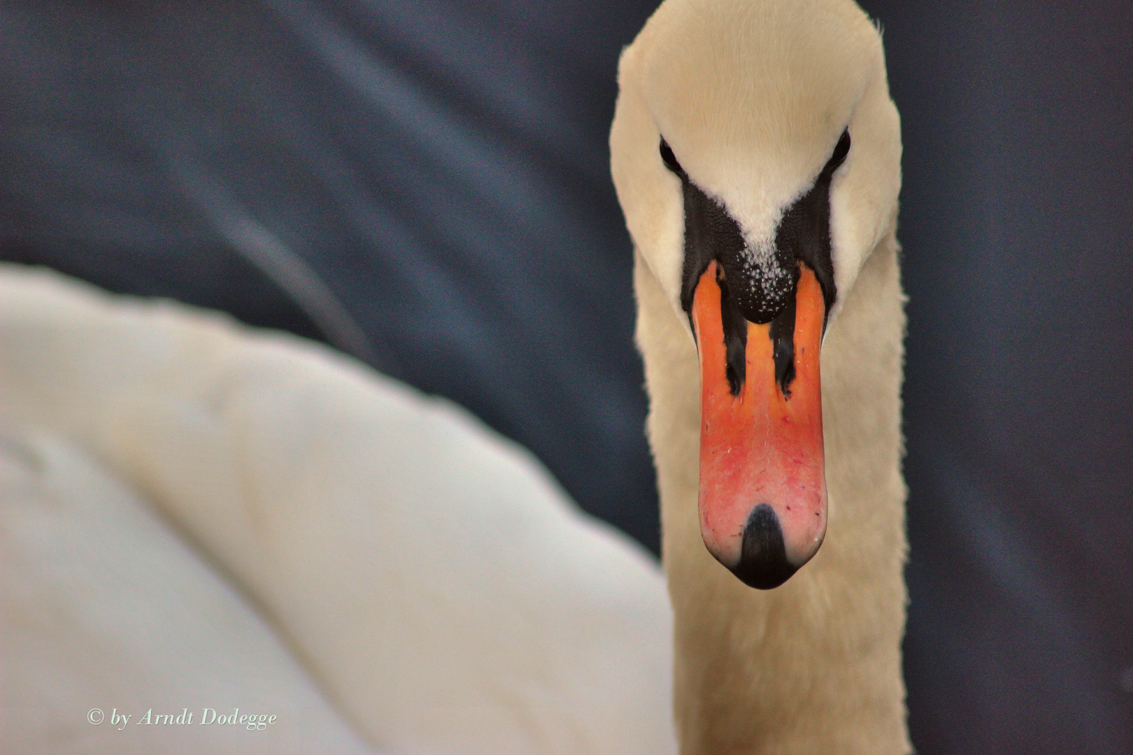 Was guckst Du?!