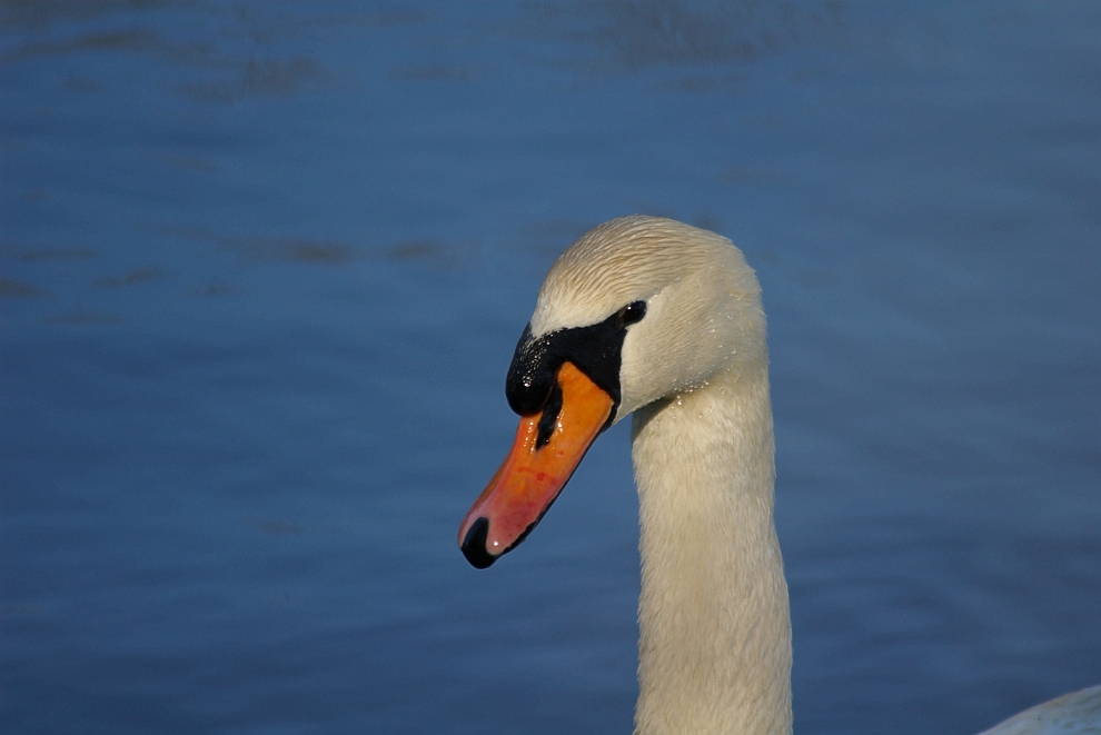 Was guckst DU?