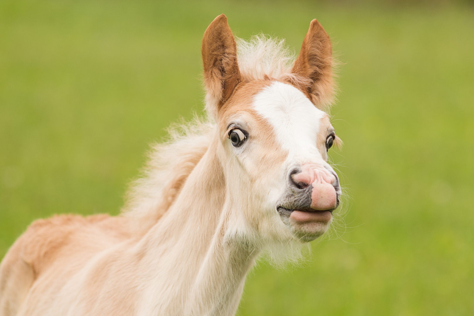 Was guckst Du?