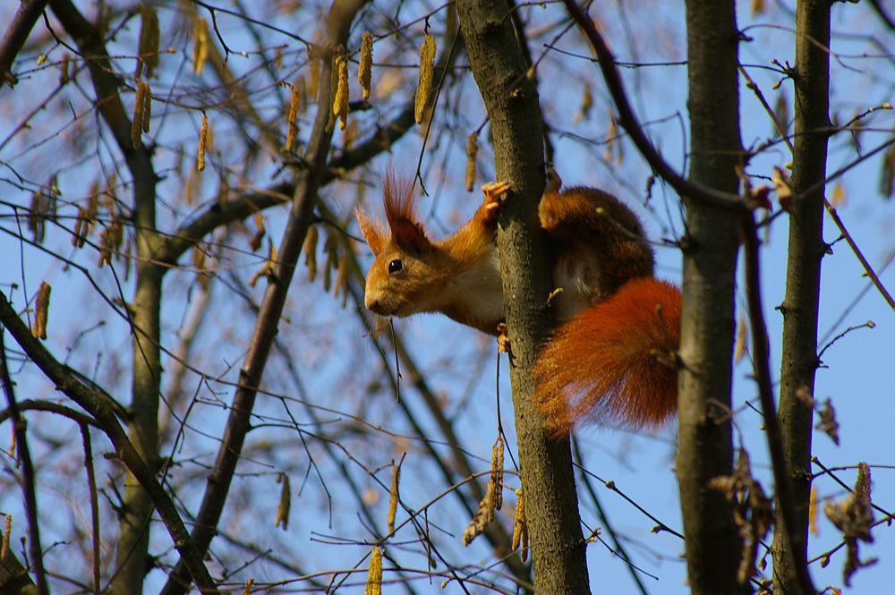 Was guckst du?