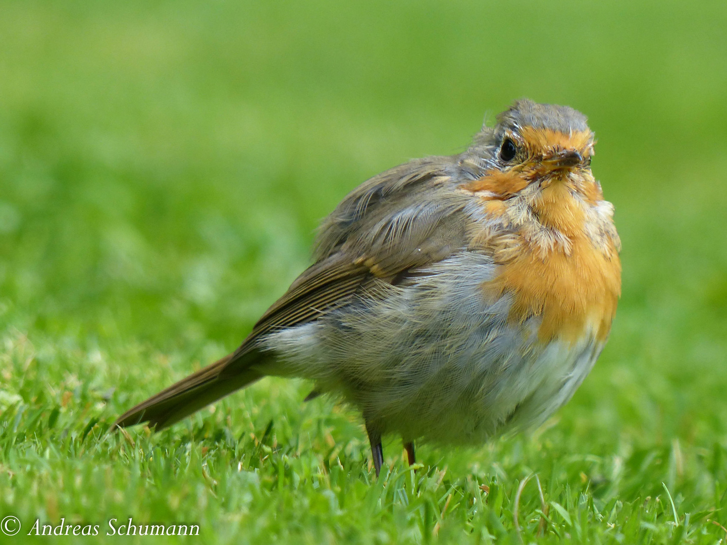 Was guckst Du?