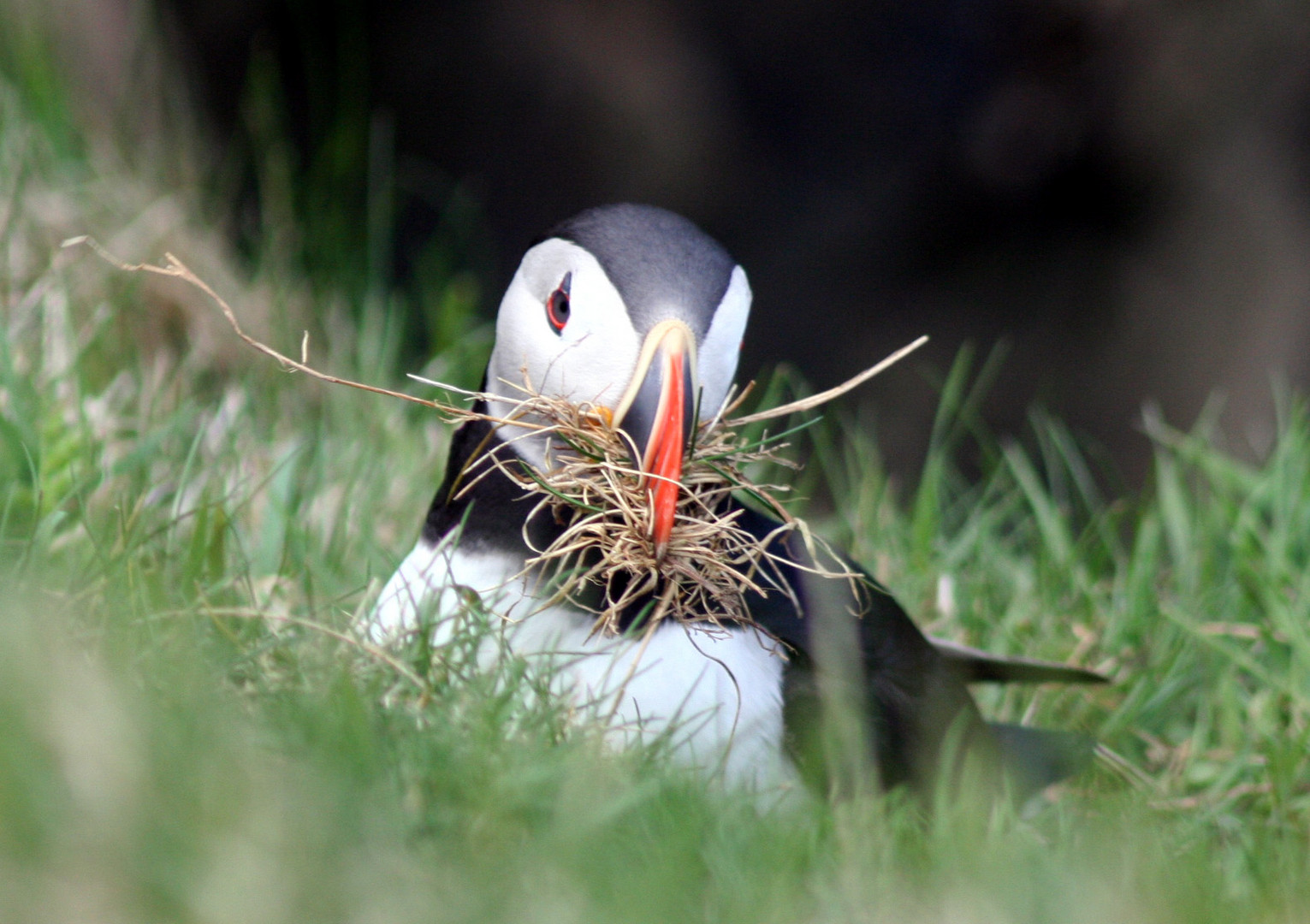 was guckst du?