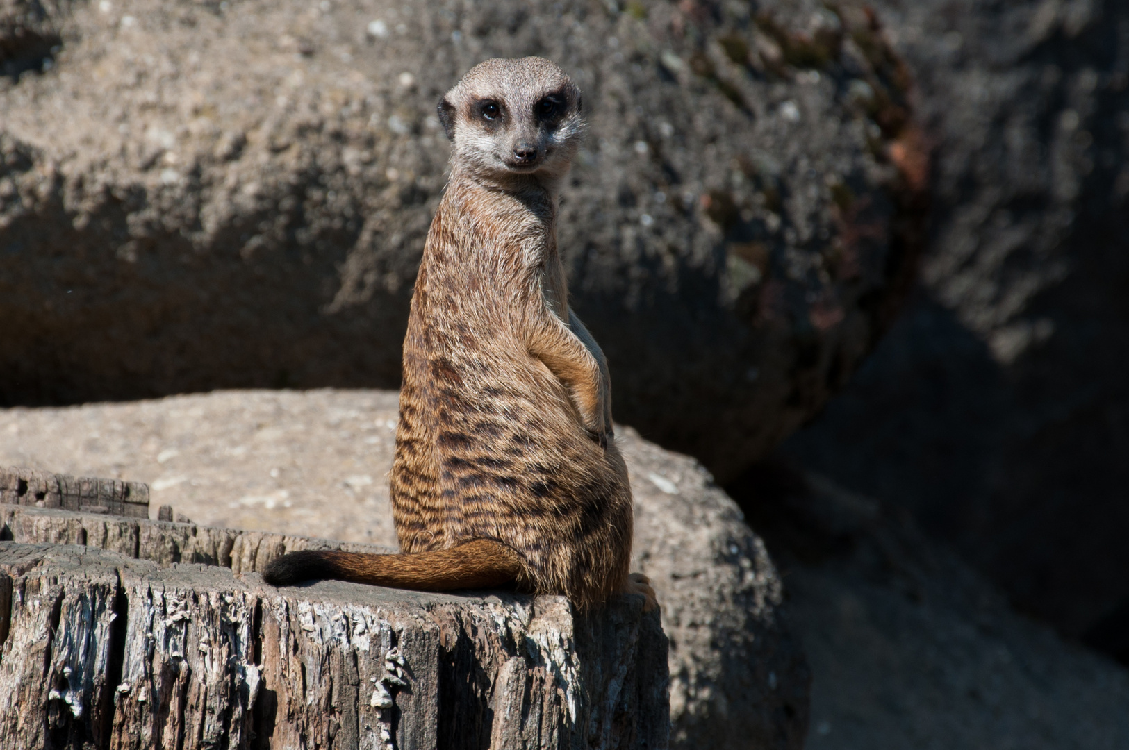 Was guckst Du?