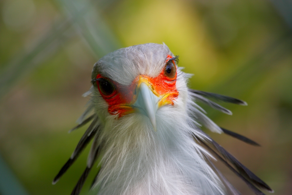 Was guckst du?