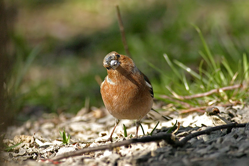 Was guckst du? ;-)