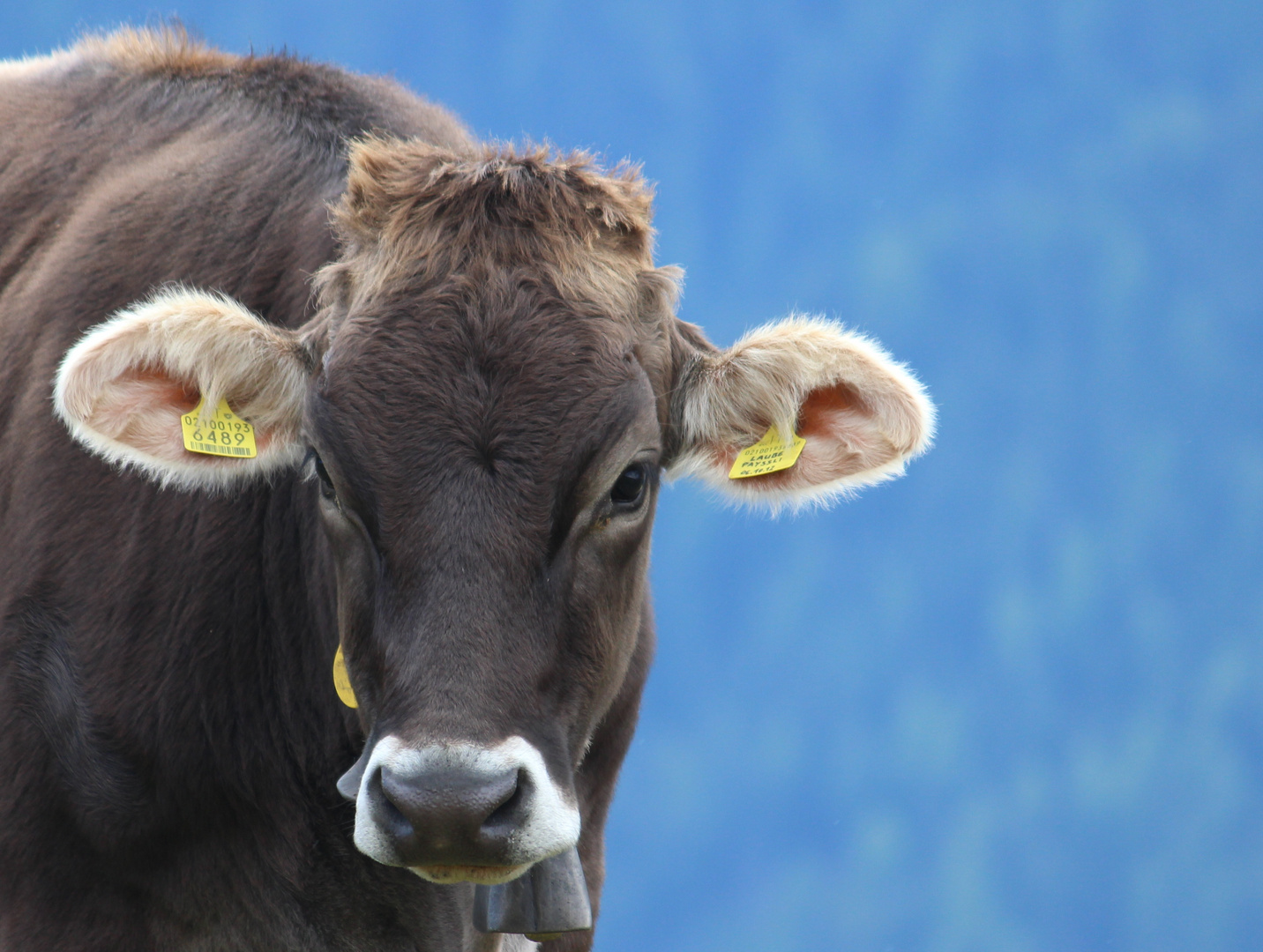 Was guckst du?