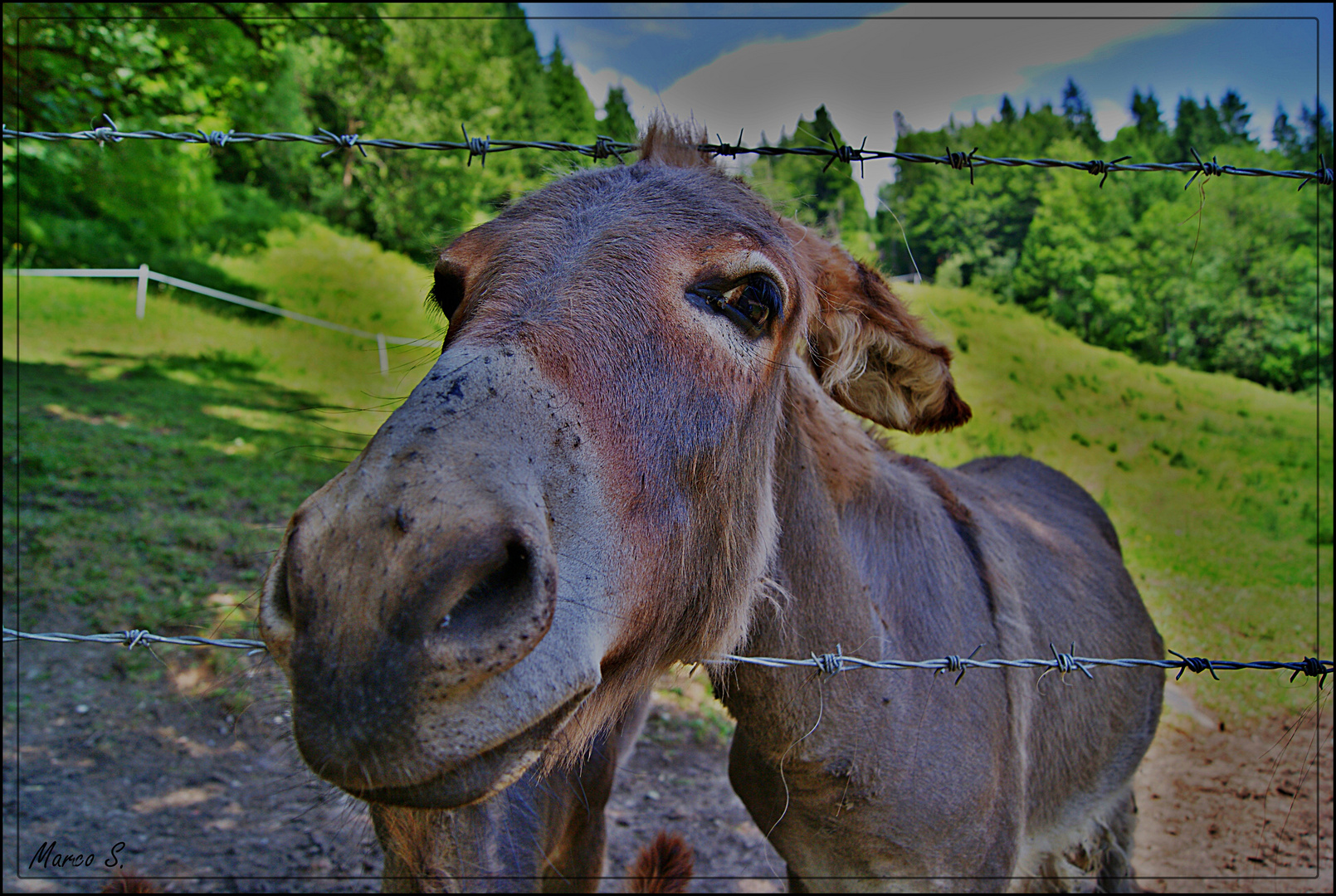 Was guckst du ?