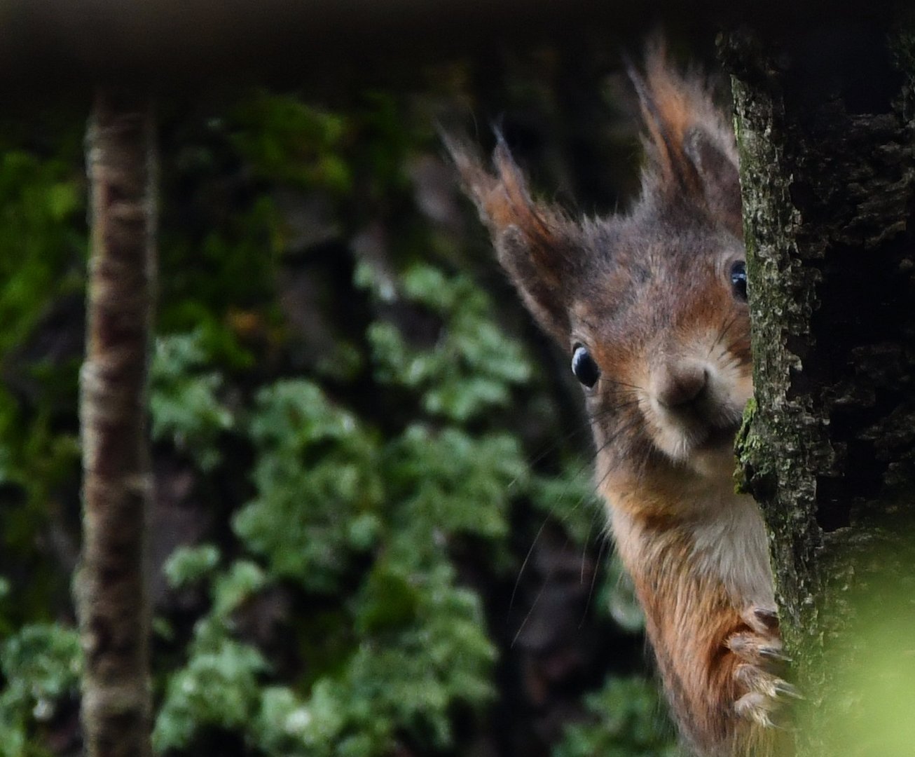 Was guckst DU ?