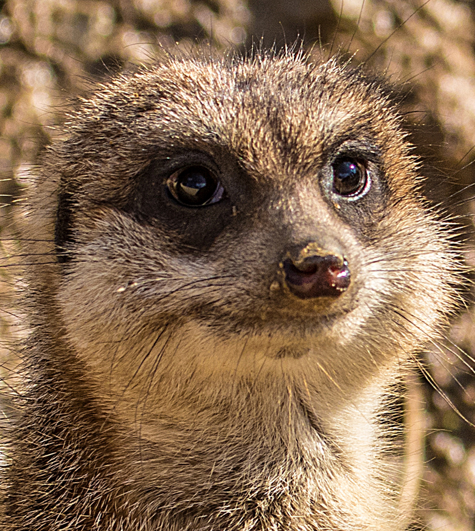 Was guckst Du?