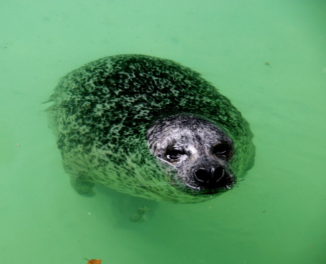 Was guckst du? ...........Badetag! 