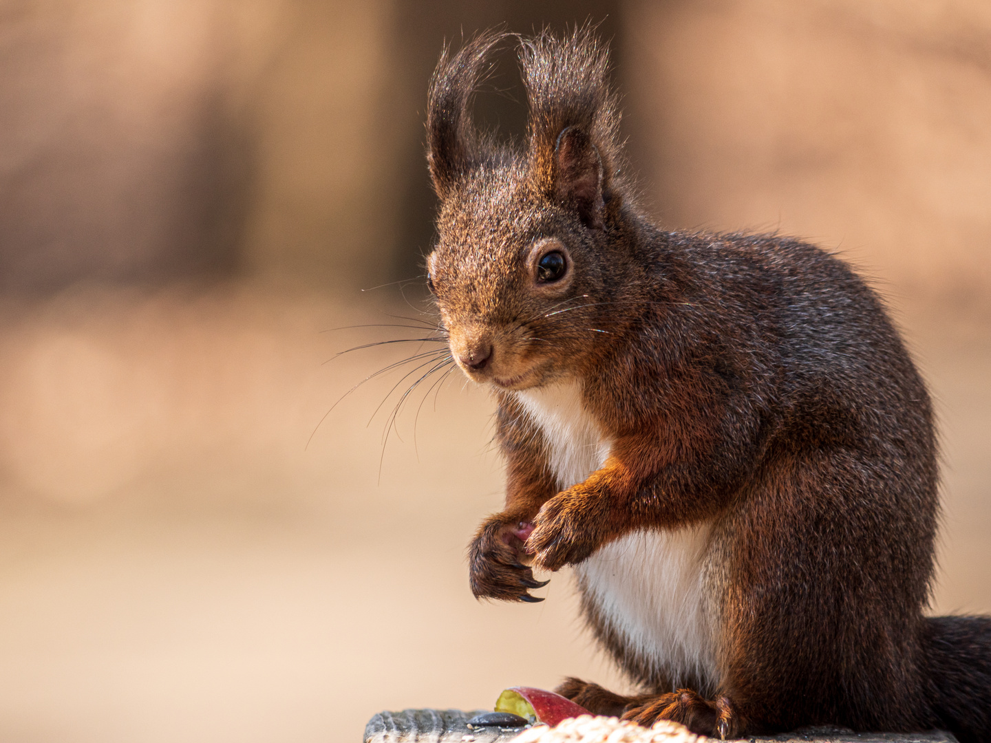 Was guckst du?