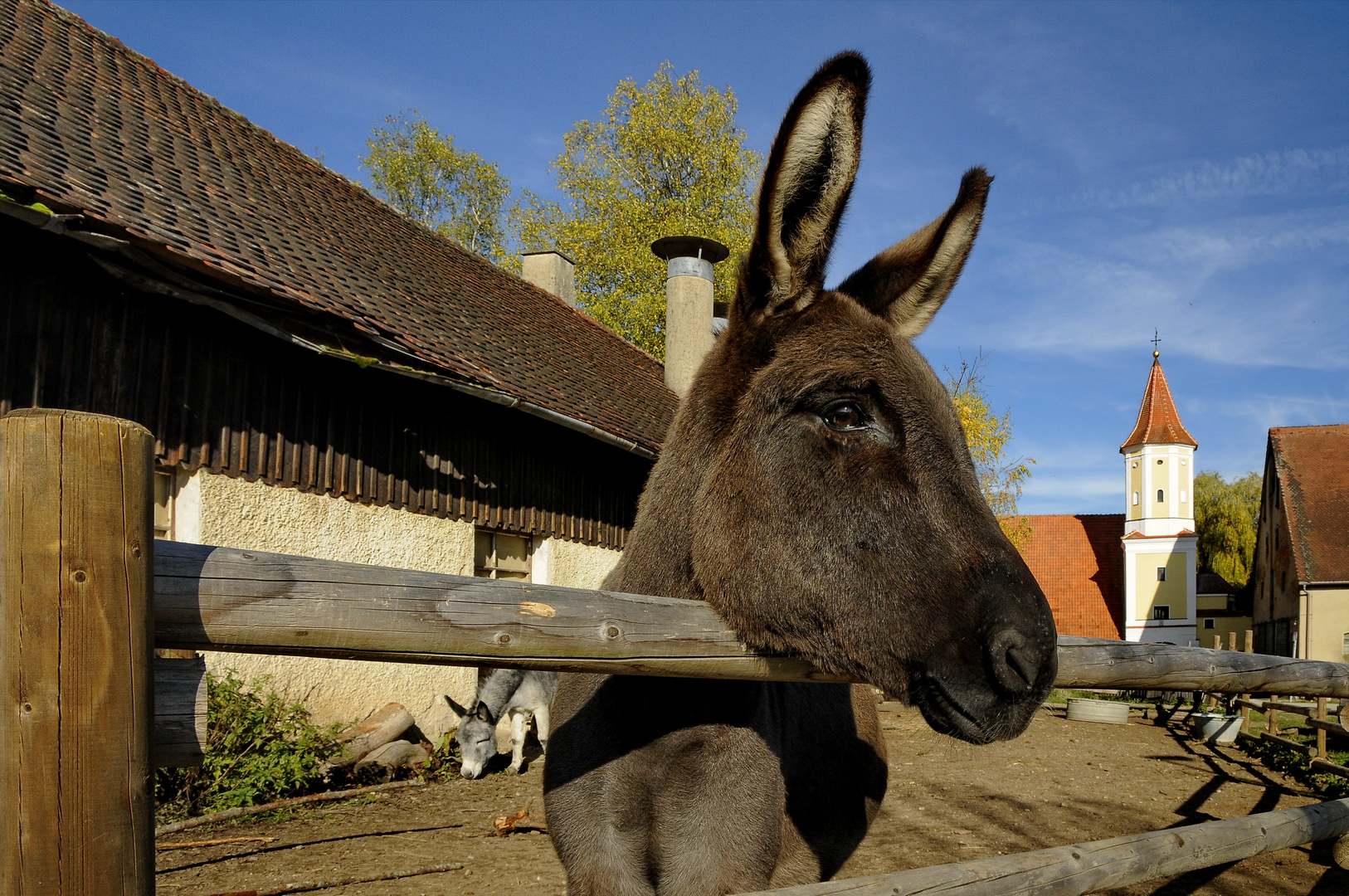 Was guckst Du ?