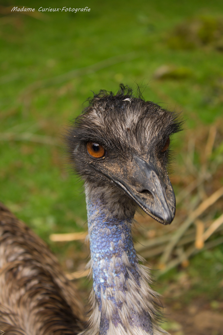 Was Guckst du ?