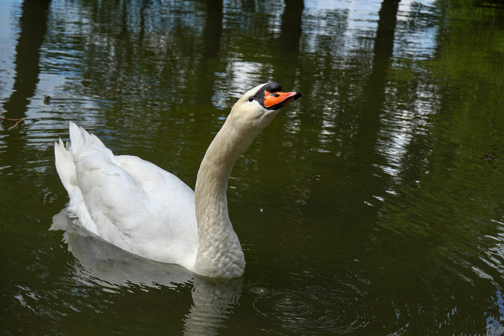 was guckst du?