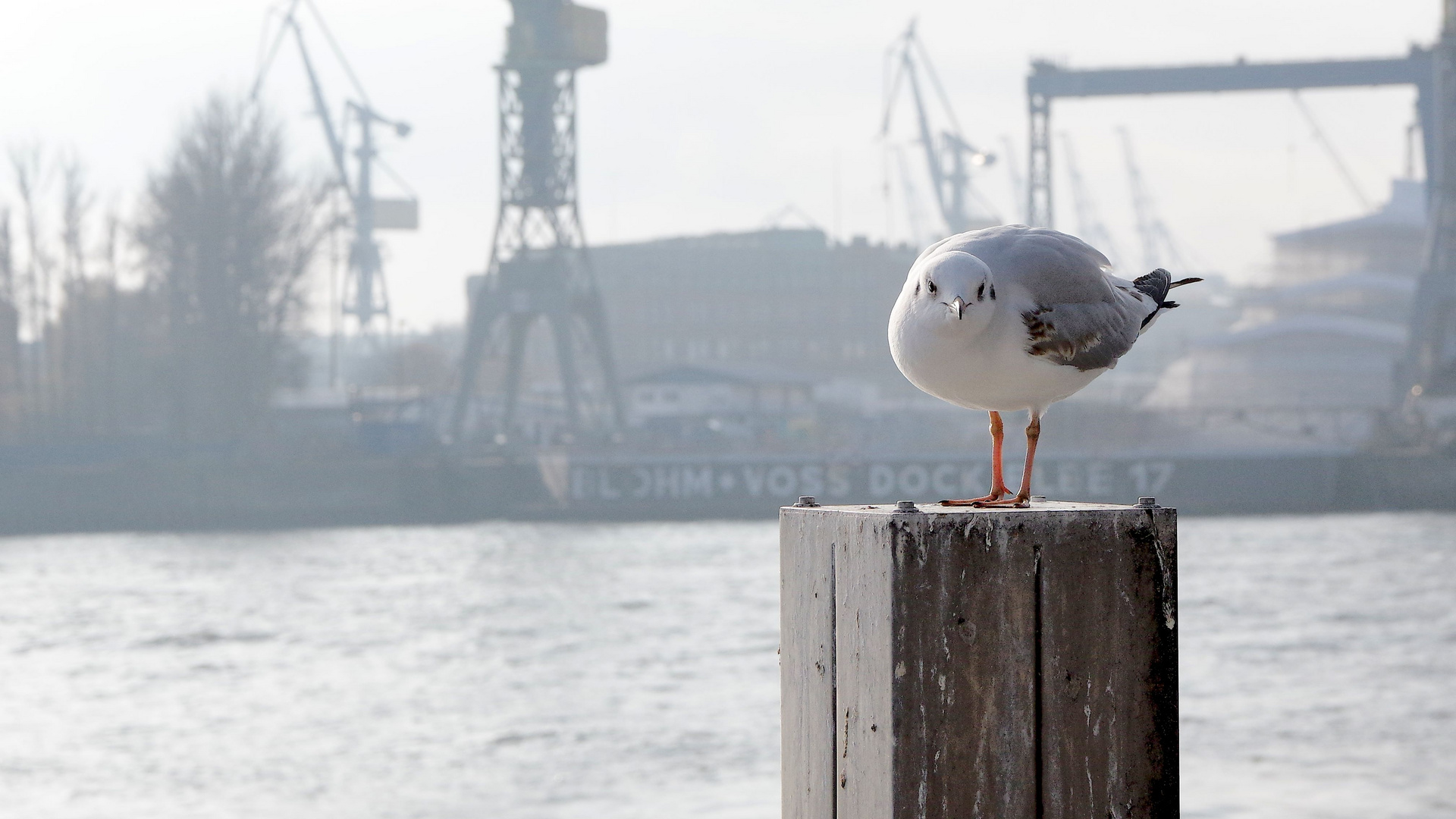 was guckst du?