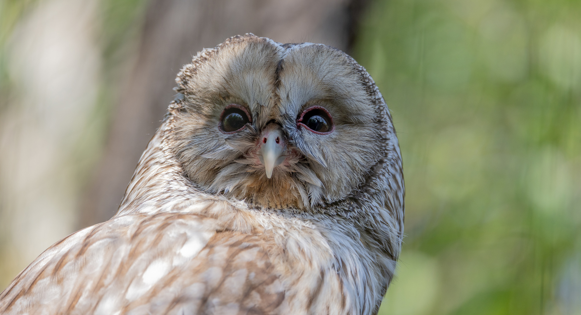 Was guckst du?