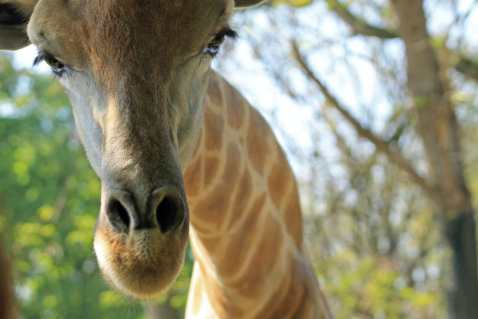 Was guckst Du?