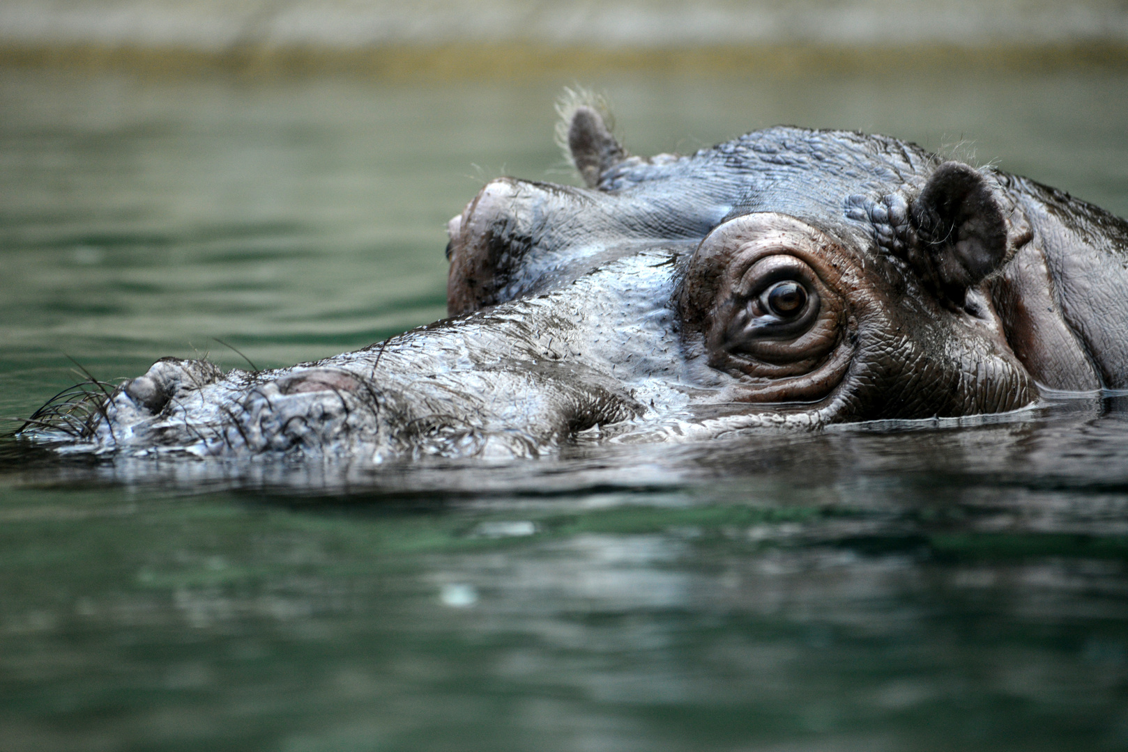 Was guckst du?