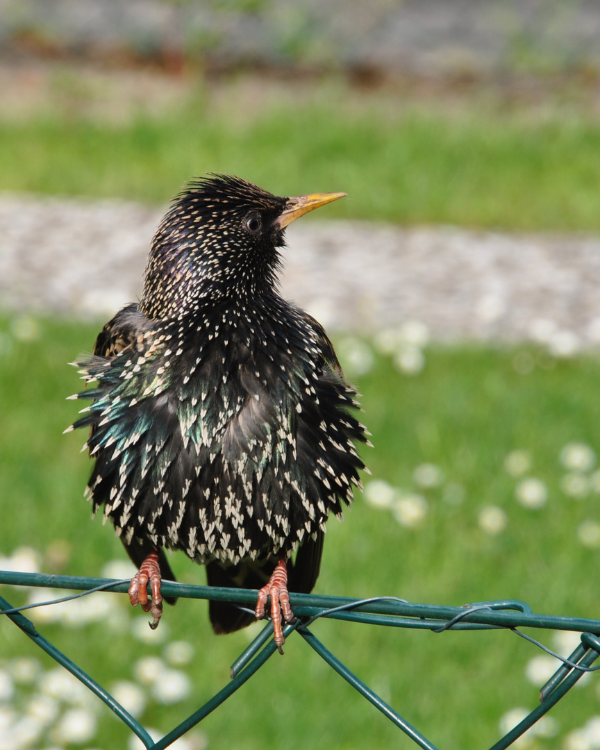 Was guckst du?