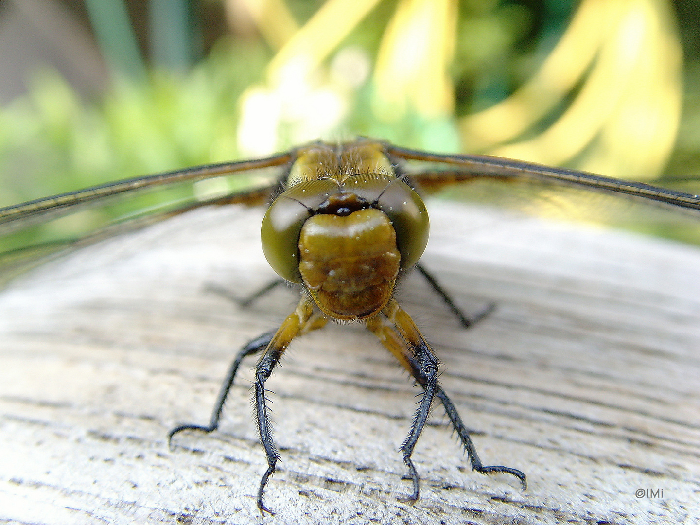 Was guckst Du?