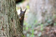 Was guckst du?