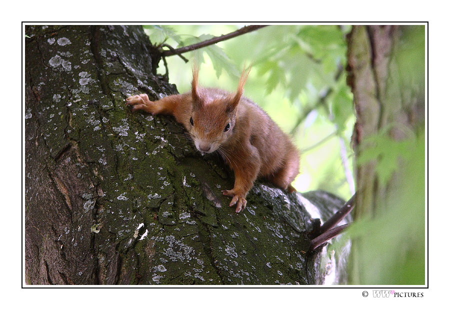 Was guckst du?